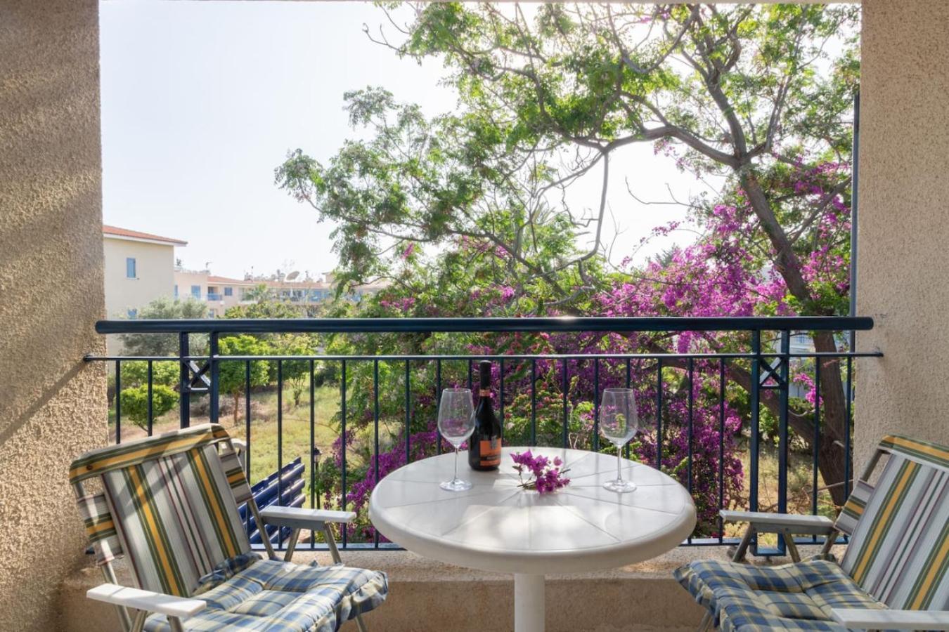 Nadezda * Paphos