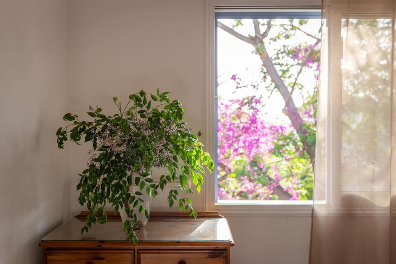 Nadezda Holiday home Paphos
